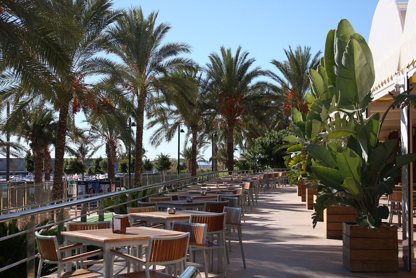 003_alta_senatoráguilas Terraza.JPG